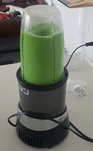 dr gundry green smoothie