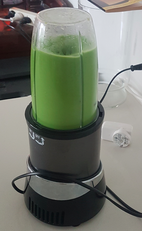 dr gundry green smoothie