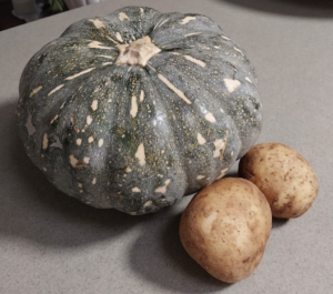 Lectins: Pumpkin and Potatoes